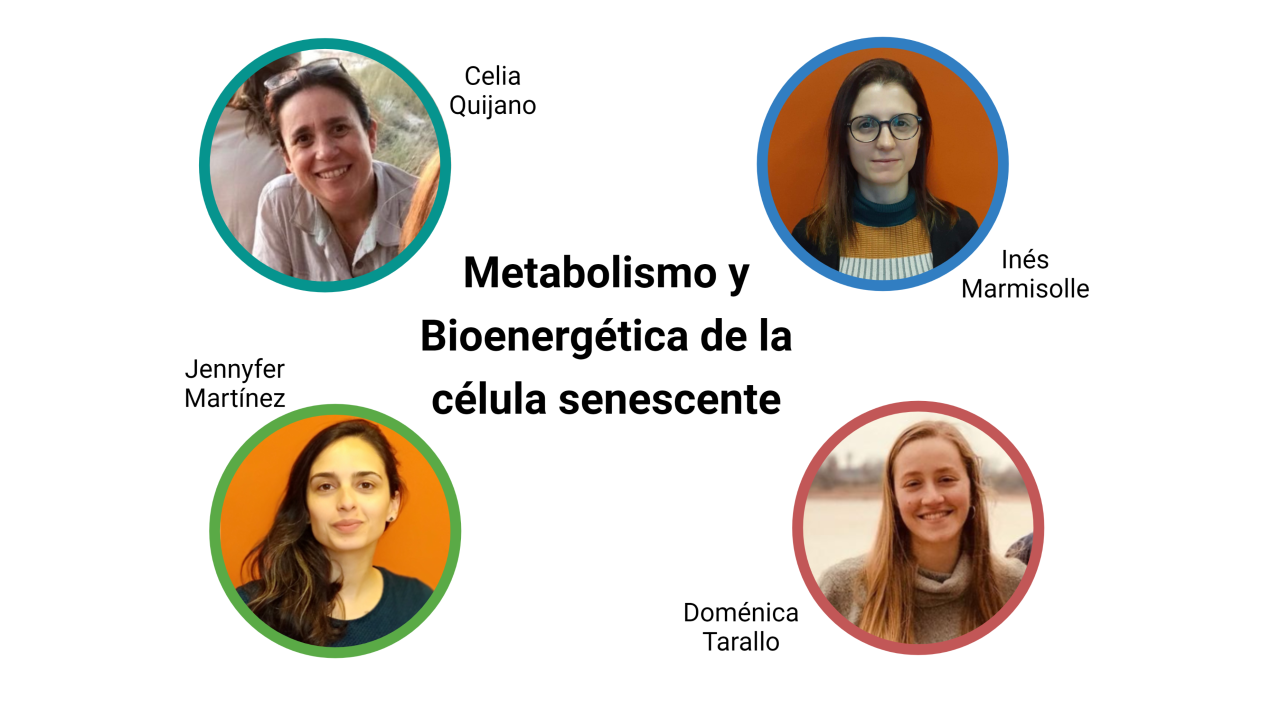 Día-mundial-ADN-2020