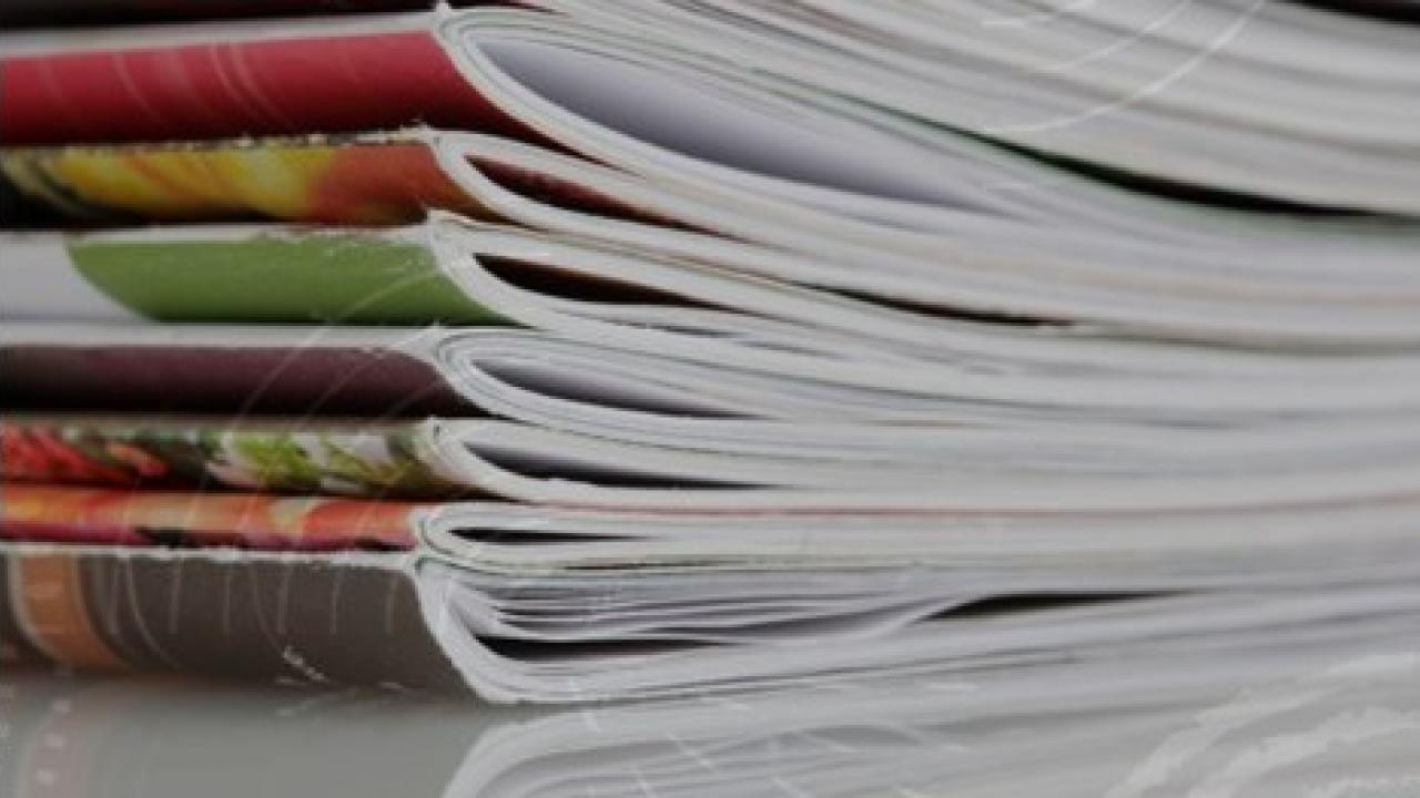 encabezado-publicacion-boletin2