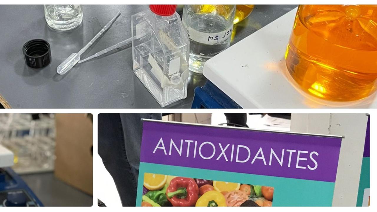 encabezado-lipidosbioactivos-2023