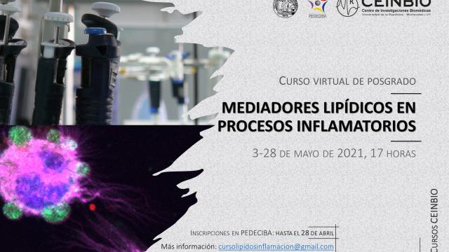 Curso "Mediadores lipídicos en procesos inflamatorios"
