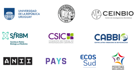 Apoyos Mitocondria 2025